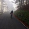 roberflybikes