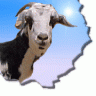 CALIMATRIATLON.COM