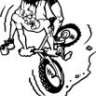bicisenderista