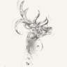 Hydrwe