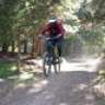 lucas_lucas