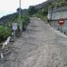peopeo