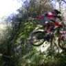 biker_beluso