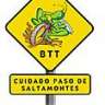 saltamontes100