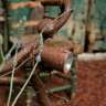 coilspring