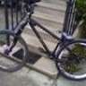mikelbikermsc