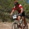 polacobike