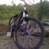 David93Ryde