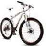 Jandri BH