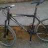 MERIDA BLACK PEARL