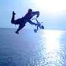 fly#55