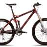 pepin25