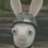 teo_tez