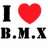 NanoS_17_BERG_BMX