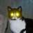 mayuca