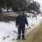El_forestal