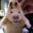 Hamster