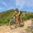 alber_13