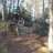 moises_s