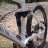 bito_bike