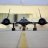BlackBird9