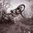 Scott_Dh