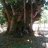 sanabres