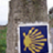 galizask