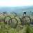 jocker_79e
