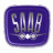 SAABERO93