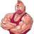 MUSCULATOR