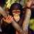 Ecce_homo