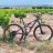 abuelo bike