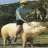 josepcervera@yahoo.es