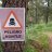 Imanol_A