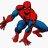 spider77