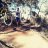 DhGuille91