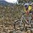 FelixMorilloMTB