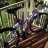 VaneBike
