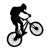 Andrew_emc