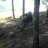 Noeld