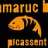btt samaruc