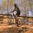 nandobike