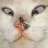 bacon_play3