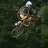freeride_lapalma