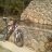 rambero 66