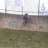 rulo_