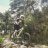 juanma996