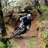 pau_dh_dirt