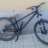 pichi_rider